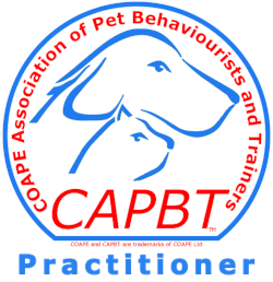 capbt_practitioner_logo_02_510x527