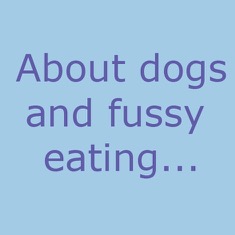 stopping dogs being fussy eaters