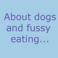 how do i stop my dog from being fussy eater