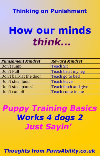 Top tips picture on stopping dog punishment