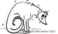 cartoon of scared dog by mary kenny